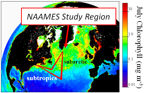 Figure 2: NAAMES Study Region
