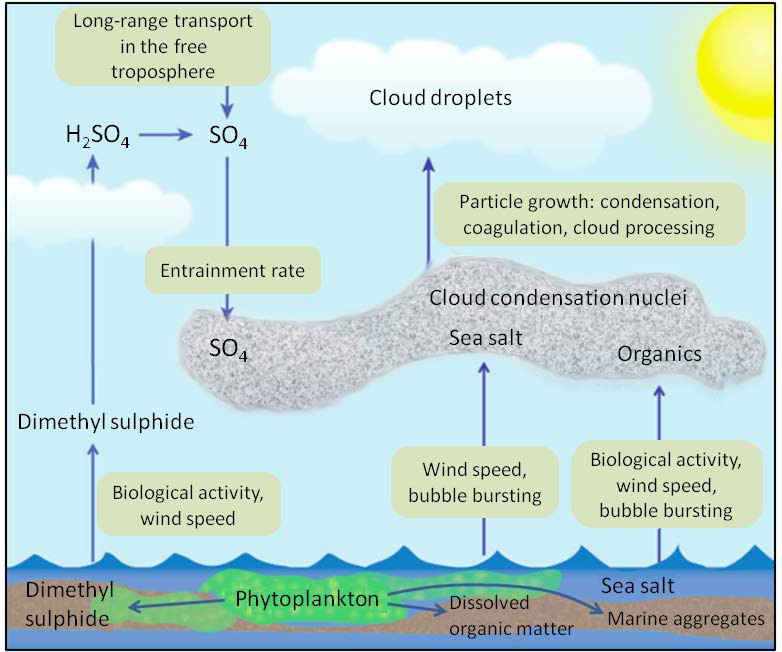 Figure 4: Schematic of ocean ecosystem, gas, aerosol, and cloud linkages.